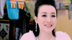 苏畅 - 雪莲花开