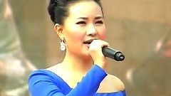 雷佳 - 文登双拥情