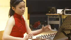 民乐群星 - 行云流水