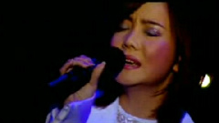 辛晓琪 - 爱情余味