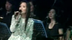 辛晓琪 - 在你背影守候