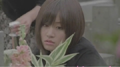 桜の木になろう