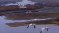 Stamatis Spanoudakis,音乐短片 - Anamnisis