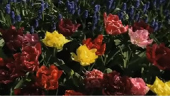 Giovanni Marradi - Release Me