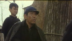 范琳琳 - 父老乡亲