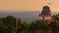 风景 - 自然界的声音