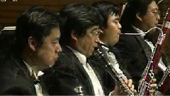 我美好的青春在哪里