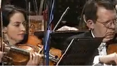 西洋乐（删除） - 玫瑰骑士