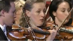 西洋乐（删除） - 玫瑰骑士