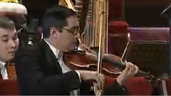 西洋乐（删除） - 玫瑰骑士