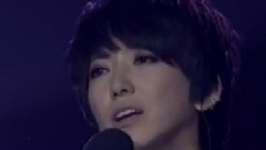 羞答答的玫瑰静悄悄的开