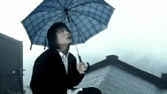 飞在风中的小雨