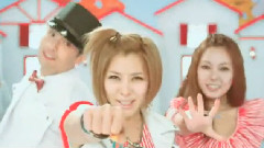 乌龟组合 - 主人公