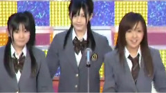 桜の花びらたち