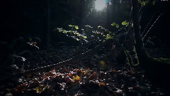 Giovanni Marradi - Never Again