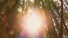 Giovanni Marradi - Field Of Dreams