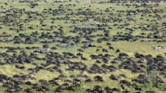 Sky,音乐短片 - The Arctic Circle