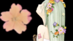 Nico - bouquet (井ノ上雄大)