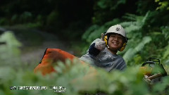 影视原声 - 映画