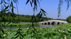 风景 - 中国夏都