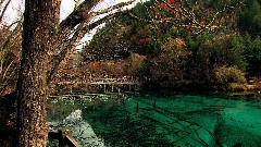 Bandari,轻音乐 - Beyond The Sundial By