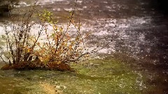 Bandari,轻音乐 - Breath Of The Wind