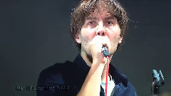 Phoenix - Chloroform (Live on Letterman)