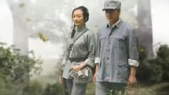 雷佳 - 妹妹找哥泪花流