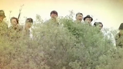 真英雄 电视剧<冒牌英雄>片尾曲