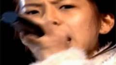 从天而降的白色星星