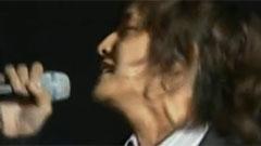 四季  Music Festival