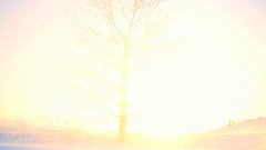 甜梅号 - 站在太阳上