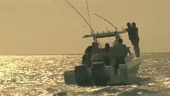 Simple Plan,MKTO - Summer Paradise