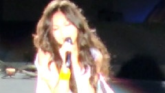 万芳 - 新不了情