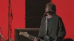 Territorial Pissings