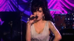 Amy Winehouse - I Told You I Was Trouble