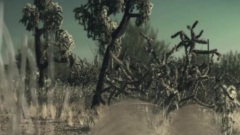 The Great American Canyon Band - Tumbleweed