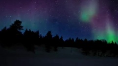 Bandari - Incredible Stars