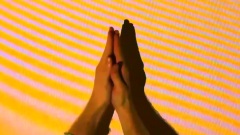 Mausi - Body Language