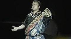 民乐群星 - 鹰的怀念