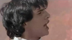 法瑞内利斗小号