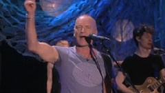 Sting - Desert Rose