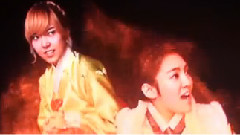 孔菊和潘菊(VCR)