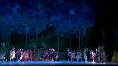 芭蕾舞 费加罗 part 10