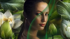 Secret Garden,音乐短片 - Lotus