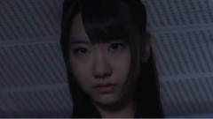 你不是真正的欢乐 饭制版