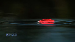 Omar Akram - Searching