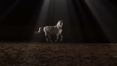 Enigma - Return To Innocence