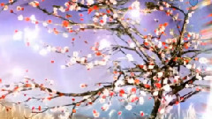 Giovanni Marradi,音乐短片 - Renaissance