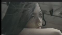 Wanted - I Promise You